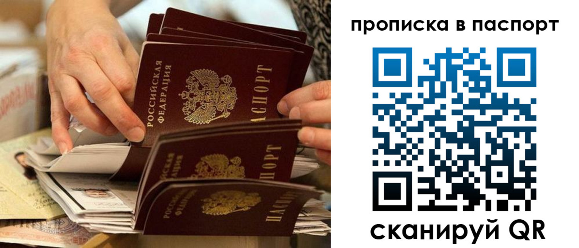 прописка законно в Сураже